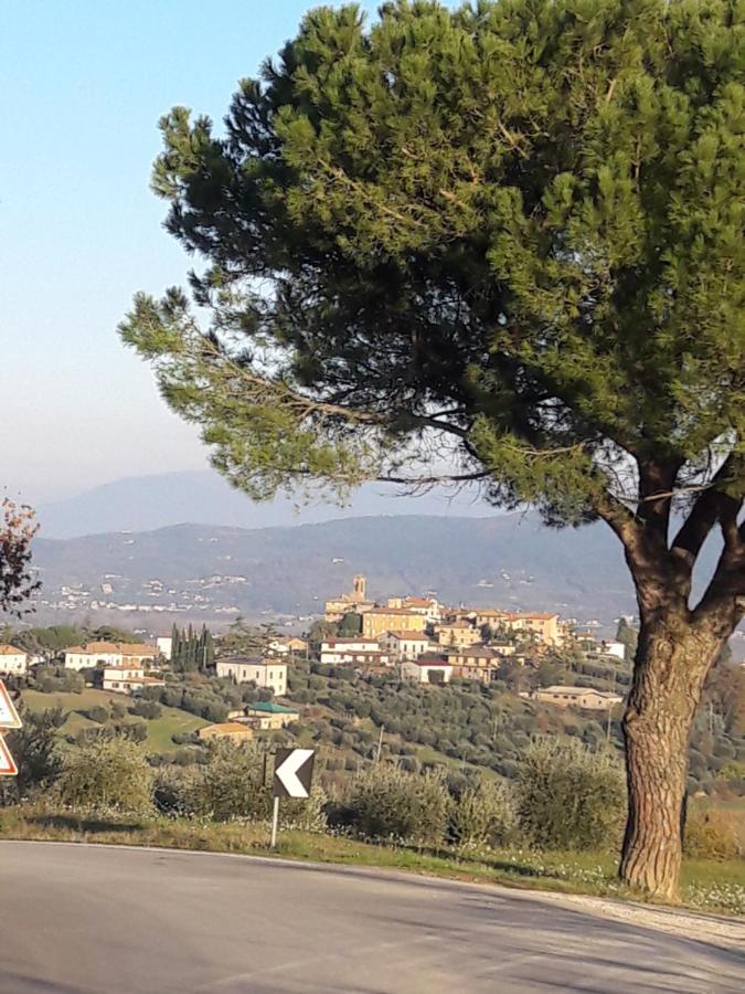 B&B Cum Grano Salis Castello delle Forme Dış mekan fotoğraf