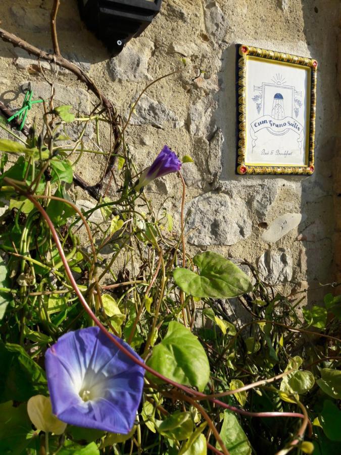 B&B Cum Grano Salis Castello delle Forme Dış mekan fotoğraf